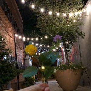 Meet your Posher, Karely